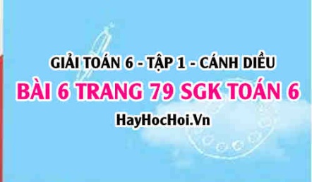 Giải bài 6 trang 79 Toán 6 Tập 1 SGK Cánh Diều